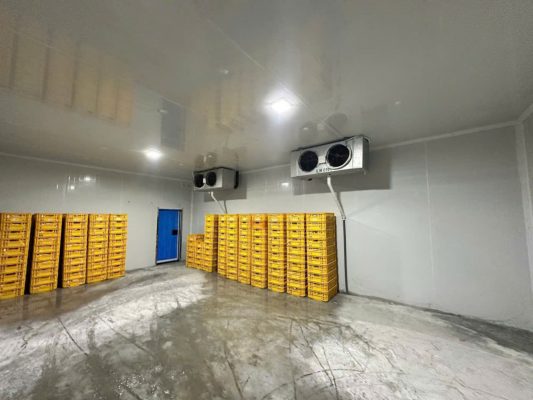 Sửa Kho Mát Quận 7: Giải Pháp Cấp Tốc Và Chuyên Sâu Từ Điện Lạnh DT&T 2 Dịch Vụ Sửa Kho Mát Quận 7